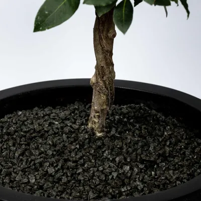 Produktbild von Schicker Mineral-Basalt Ziersplitt anthrazit 25 kg-5-8mm