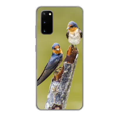 Produktbild von MuchoWow® Handyhülle Schutzhülle Hülle für Samsung Galaxy S20 Vögel - Zweig - Porträt Silikon Softcase Handy Hülle - Bild