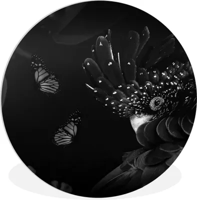 Produktbild von MuchoWow® Rundes Wandbild - Runde Bilder Schmetterlinge - Pflanzen - Dschungel - Schwarz - Weiß Ø 30 cm Kreis Wanddekoration Kunststoff - Wandkreis - Wandschmuck - Schlafzimmer - Bilder - Der Kreis - Kunst für die Wohnung - Plastik - Kunstdruck - Wandbild
