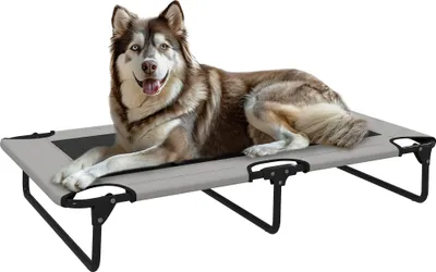 A husky dog lying on a raised pet bed.