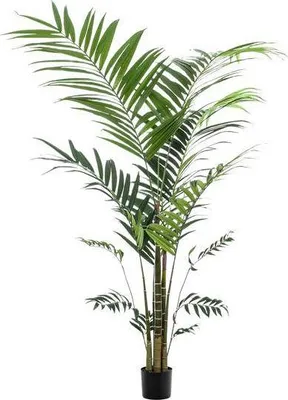 Produktbild von Kunstpflanze Kentia Palme – ca. 210cm hoch – XXL künstliche Kentiapalme mit großen Wedeln – Tropische Zimmerpflanze für Wohnzimmer, Büro & Empfangsbereiche