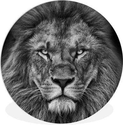 Produktbild von MuchoWow® Rundes Wandbild - Runde Bilder Tiere - Löwe - Schwarz - Weiß - Porträt Ø 30 cm Kreis Wanddekoration Kunststoff - Wandkreis - Wandschmuck - Schlafzimmer - Bilder - Der Kreis - Kunst für die Wohnung - Plastik - Kunstdruck - Wandbild
