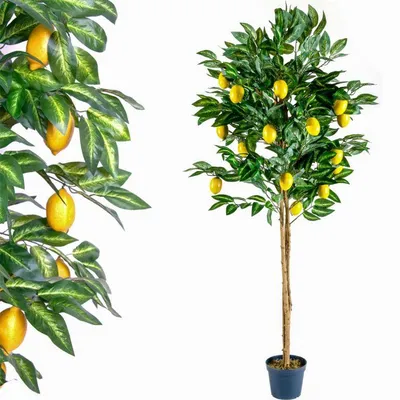 Zdjęcie produktu dla Drzewko sztuczne owocowe cytrynowe 184 cm