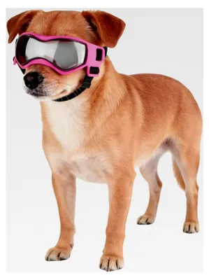 Produktbild von Hundebrille - UV- und Windschutz für Haustiere und Welpen, Schutzbrille für Hunde - Für Motorradtouren, Spaziergänge, Wanderungen und Strandausflüge