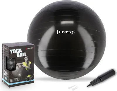 Obrázok produktu pre Gymnastická lopta HMS YB01 55 cm, čierna