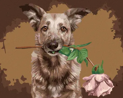 Produktbild von Zuty - Malen nach Zahlen - WOLF MIT ROSE, 40x50 cm, ohne Keilrahmen