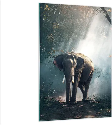 Produktbild von Bilder auf glas - Einteilig - elefant natur - 80x120cm - Glasbilder - Wandbilder - Bilder - zum Aufhängen bereit - Wanddekoration aus Glas - Glas Bilder - Wandbild auf Glas - GPA80x120-3972