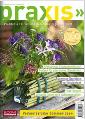 Produktbild von PRAXIS Nr. 118