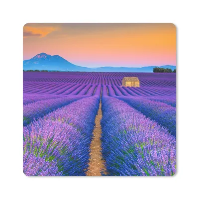 Produktbild von MuchoWow® Mauspad Mousepad Lavendel - Lila - Blumen 30x30 cm - Mousepads - Maus Mat - Pad - Mausunterlage - Gaming