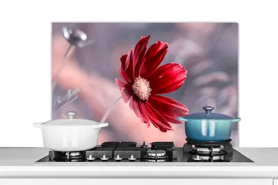 Obrázok produktu pre MuchoWow® Splashback kitchen - Kuchynský backsplash - Ochrana steny sporáka a drezu - Bloemen - Rood - Natuur - Planten 80x55 - Alu-Dibond (alternatíva skleneného splashbacku) - Tepelne odolný - Splashback sporáka - Ochrana dlaždíc - Odolný voči teplote - Kryt sporáka - Ochrana steny sporáka a drezu