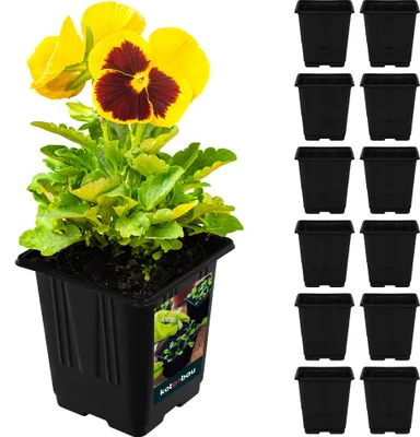 Productafbeelding van KOTARBAU® Set van 12 kweekpotten, rechthoekig, plantenschaal voor het kweken van planten, 7 x 7 x 8 cm