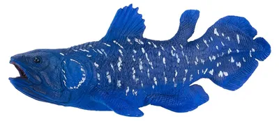 Image de Coelacanthe Mojo Sealife - 381050