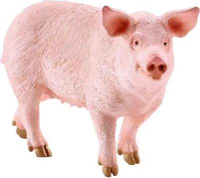 Immagine prodotto di SCHLEICH - Mondo della fattoria, maiale 5 ct.)