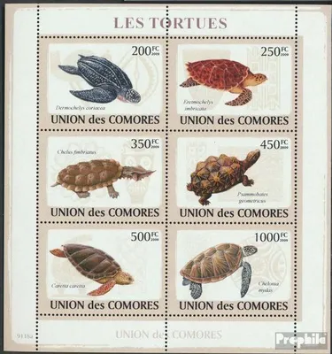 Produktbild von Briefmarken Komoren 2009 Mi 2177-2182 Kleinbogen (kompl. Ausg.) postfrisch Schildkröten