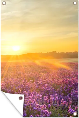 Produktbild von MuchoWow® 40x60 cm Outdoor-Poster Gartendeko Sichtschutz Garten Poster für den Garten  Lavendel - Sonnenuntergang - Bäume - Lila