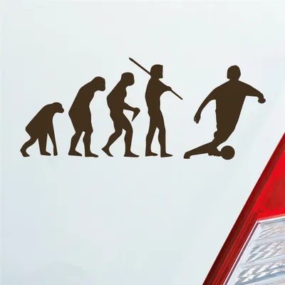 Produktbild von Auto Aufkleber Evolution Soccer Fussball Sport Fußball 15x6 cm Braun Sticker Heckscheibenaufkleber
