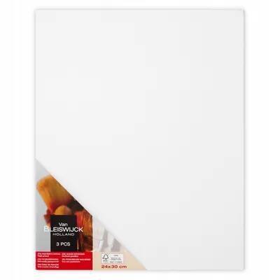 Zdjęcie produktu dla Van Bleiswijck Płótno malarskie 24x30 cm - Płótno bawełniane do malarstwa akrylowego i olejnego - Wstępnie naciągnięta i zagruntowana rama blejtramu