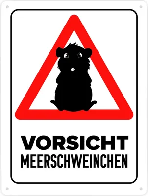 Produktbild von Vorsicht Meerschweinchen Metallschild XXL in 28x38 cm mit Meerschweinchen