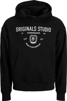 Produktbild von JACK & JONES Herren Hoodie JORCAMBRIDGE Sweat Hood