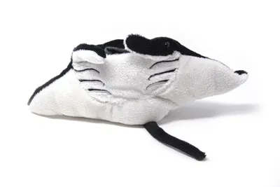 Image de Cornelissen - Doudou - Raie manta - 26 cm