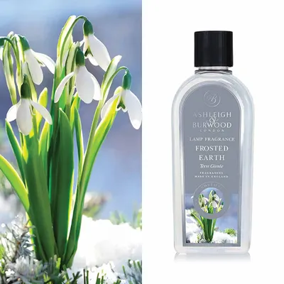 Produktbild von Ashleigh & Burwood Raumduft Frosted Earth 500 ml
