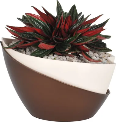 Obrázek produktu pro Plastia | Květináč Doppio - 21x14x14 cm - krémová/hnědá - samozavlažovací, moderní design