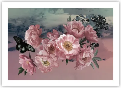 Produktbild von Poster - Poster ohne Rahmen - Blumen Schmetterling Wolken - 70x50 cm - Wand Bild - Wanddeko - Wandbilder - Kunstposter - Wandposter - Bilder - Kunstdruck - Wanddekoration - Wandbild - P2XAA70x50-4881