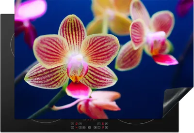Produktbild von KitchenYeah© Herdabdeckplatte Von Orchidee , 76x51cm, Küche Deko, Glaskeramikkochfeld Herdabdeckung, Abdeckplatte fùr Kochfeld