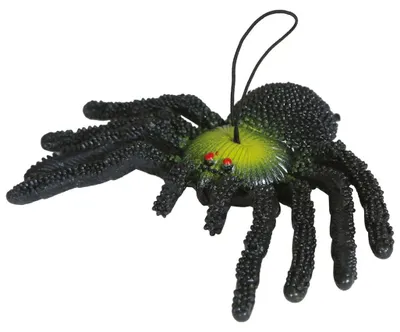 Produktbild von Schwarz-Grüne Gummispinne als Halloween Deko & Gimmick