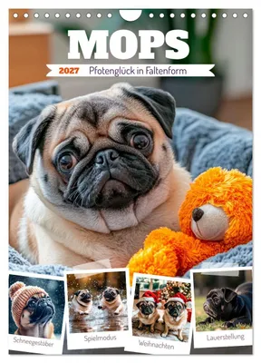 Produktbild von MOPS Pfotenglück in Faltenform (Wandkalender 2027 DIN A4 hoch), CALVENDO Monatskalender
