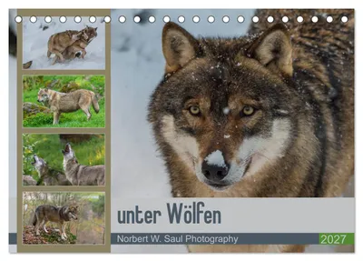 Produktbild von unter Wölfen (Tischkalender 2027 DIN A5 quer), CALVENDO Monatskalender