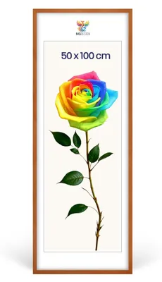 Produktbild von MG Design Bilderrahmen Lackiert 50x100 cm - Posterrahmen Echtholz mit Acrylglas, verstärkte Wandaufhängung, hoch/quer