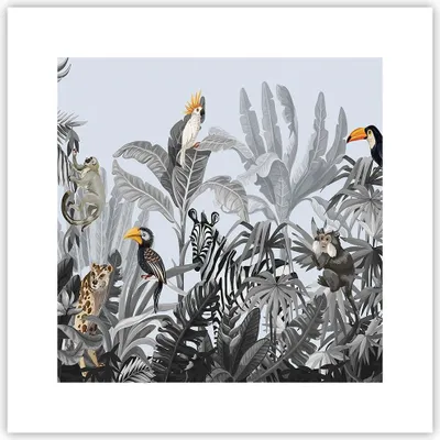 Produktbild von Poster - Poster ohne Rahmen - Dschungel Tiere Tukane - 30x30 cm - Wand Bild - Wanddeko - Wandbilder - Kunstposter - Wandposter - Bilder - Kunstdruck - Wanddekoration - Wandbild - P2XAC30x30-4662