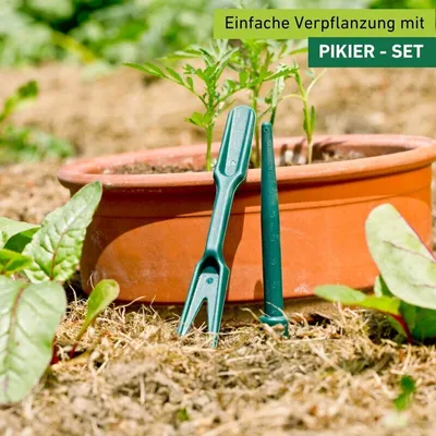Produktbild von Pikier-Werkzeug zum Umpflanzen von Sämlingen