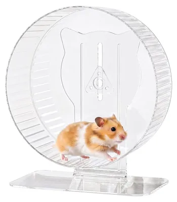 Produktbild von Leises Hamsterlaufrad aus Holz oder Acryl, geeignet für Zwerghamster
