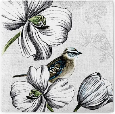 Produktbild von Airlaid Serviette Isabeau, 40 x 40 cm, 50 Stück - Mank - Floral Vögel