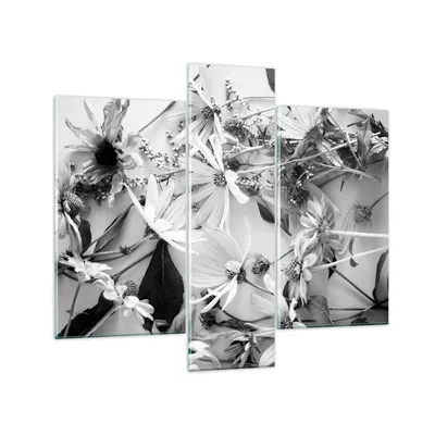 Produktbild von Bilder auf glas - 3 Teile - Blumen Schwarzweiß Fotografie - 95x80cm - Glasbilder - Wandbilder - Bilder - Wanddekoration aus Glas - Glas Bilder - Wandbild auf Glas - GCB95x80-4740