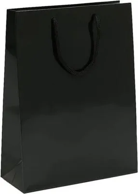 Zdjęcie produktu dla Prestiżowa Torba Laminowana 240x90x320mm Czarna