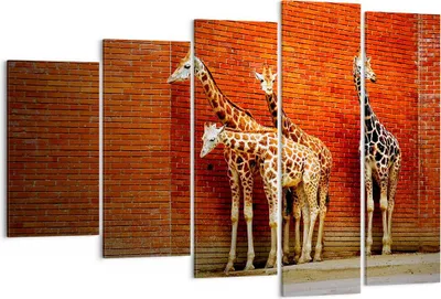 Produktbild von Bild auf Leinwand - Leinwandbild - Tiere Giraffen Zoo Familie - 150x100cm - Wand Bild - Wanddeko - Leinwanddruck - Bilder - Kunstdruck - Wanddekoration - Leinwand bilder - Wandkunst - EG150x100-2643