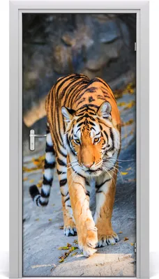 Produktbild von Tulup Türaufkleber 95x205 cm Dekorative Aufkleber Selbstklebend Wasserdichte Tapete Abnehmbar Schlafzimmer Wohnzimmer Wohnkultur - Tiger-Wand