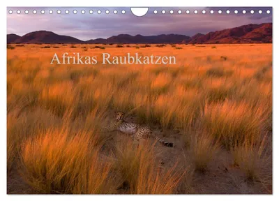 Produktbild von Afrikas Raubkatzen (Wandkalender 2027 DIN A4 quer), CALVENDO Monatskalender