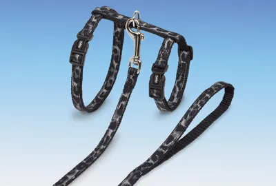 Produktbild von Katzengarnitur XL "LEO"