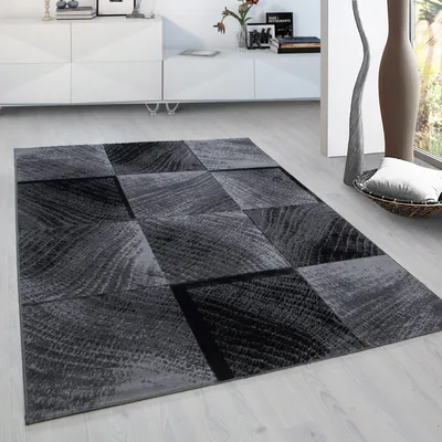 Produktbild von Ayyildiz Hali PLUS2002908003BLACK, Teppich, Polypropylen (PP), Schwarz, Rechteck, 2000 mm, 2900 mm