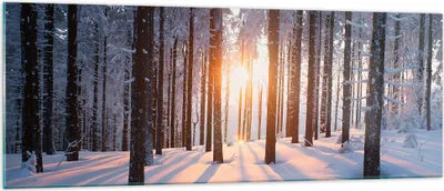 Produktbild von Bilder auf glas - Wald Winter Schnee - 140x50cm - Glasbilder - Wandbilder - Kunstdruck - zum Aufhängen bereit - Wanddekoration aus Glas - Glas Bilder - Wandbild auf Glas - Einteilig - GAB140x50-3629