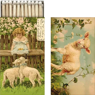 Zdjęcie produktu dla Zapałki upominkowe Spring Animals Lamb