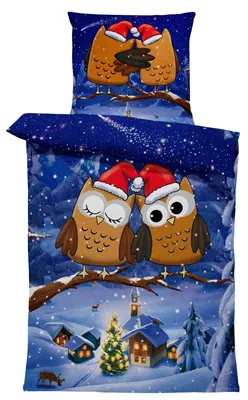 Produktbild von Winter Bettwäsche Thermo Fleece Flausch Kuschelig Warme Garnitur Bettbezüge Set, Größe:4 teilig  135x200 cm, Farbe:Eule Weihnachten blau