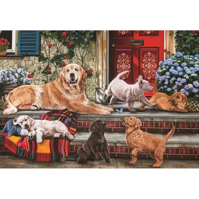 Produktbild von ANATOLIAN Puzzle Hundefamilie 260 Teile
