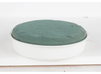 Image de 12x Mosy bac de mousse de bouturage blanc fleurs support de plantes masse mousse éponge maison
