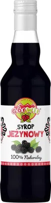 Obrázek produktu pro Ostružinový sirup 500ml GorWit