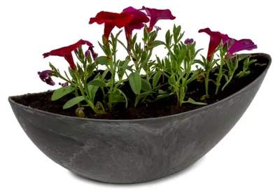 Produktbild von Ovale Pflanzschale für den Außenbereich - große Deko-Schale in schwarzer Stein-Optik als Blumen-Topf - 39 cm Jardiniere für Garten, Balkon oder Friedhof